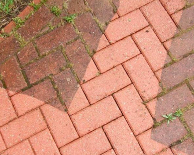 concrete-driveway-cleaning